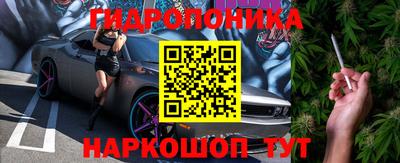 ешки Бердск