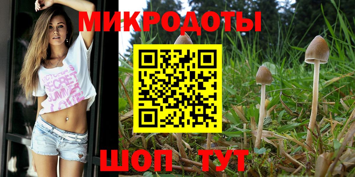 Галлюциногенные грибы ЛСД  Вход с VPN  Бузулук  Псилоцибиновые грибы ЛСД 